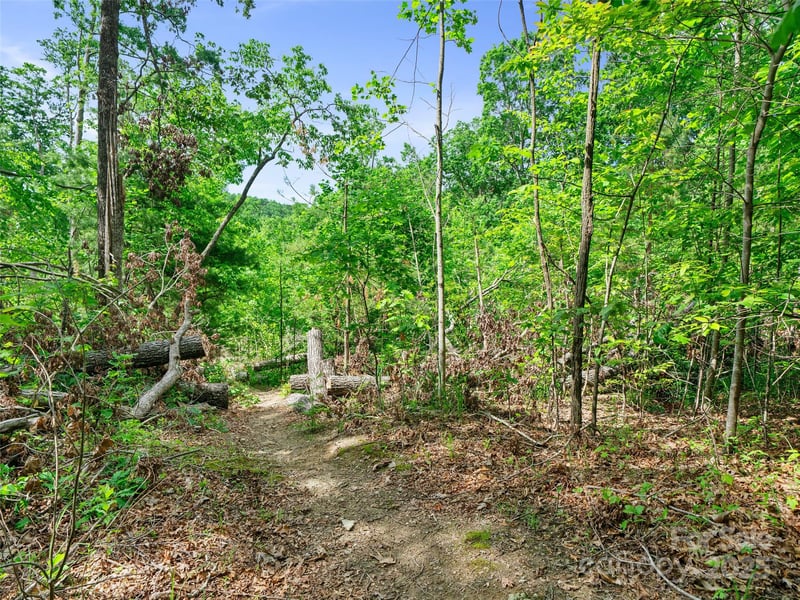99999 Millbrae Loop, Hendersonville, NC 28791
