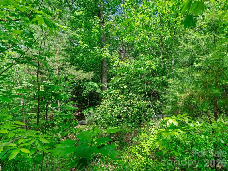 99999 Millbrae Loop, Hendersonville, NC 28791