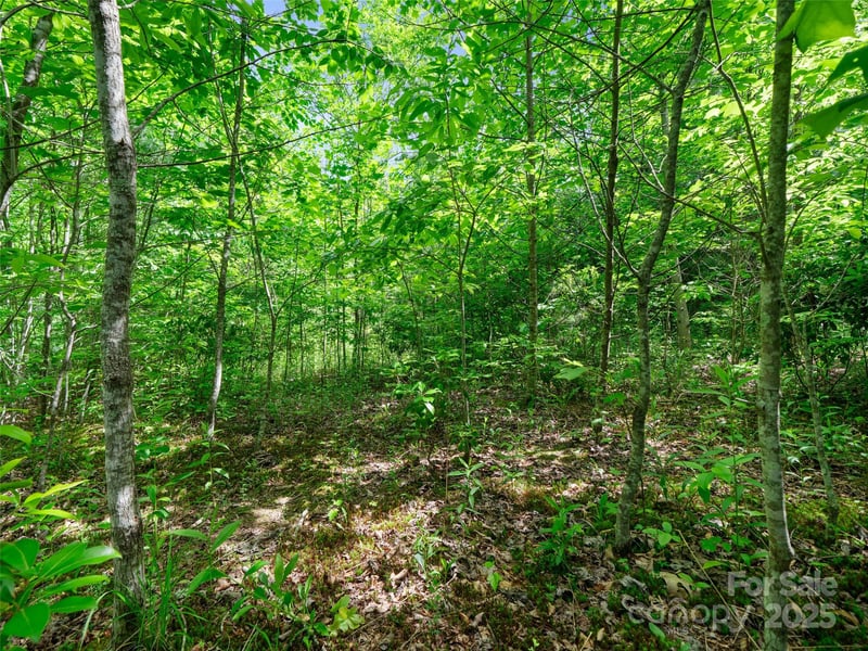 99999 Millbrae Loop, Hendersonville, NC 28791