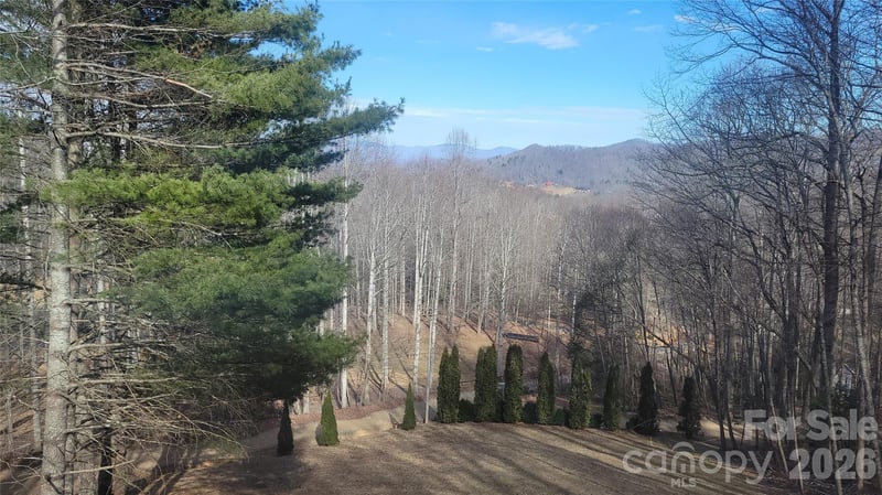 60 Persimmons Ln, Burnsville, NC 28714