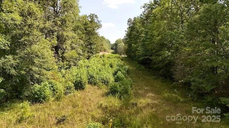 00 Blue Branch Rd #Tract B, Gaffney, SC 29340