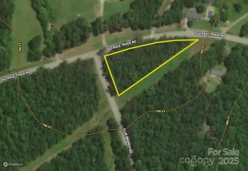 00 Blue Branch Rd #Tract B, Gaffney, SC 29340
