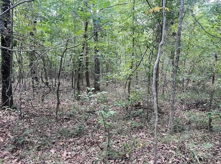 00 Blue Branch Rd #Tract C, Gaffney, SC 29340
