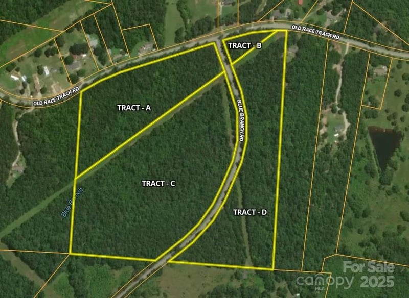 00 Blue Branch Rd #Tract C, Gaffney, SC 29340