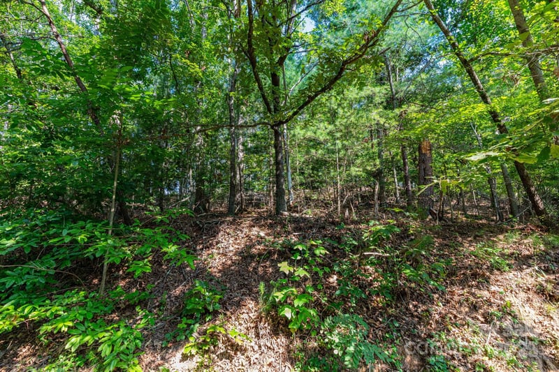 99999 Flynn Branch Rd #1, Asheville, NC 28804