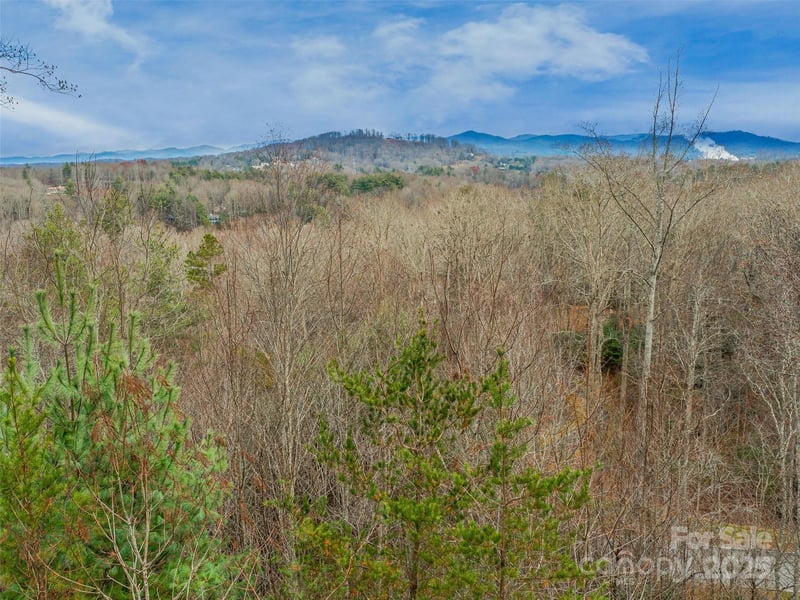 25 Autumn Shade Ct #75, Arden, NC 28704