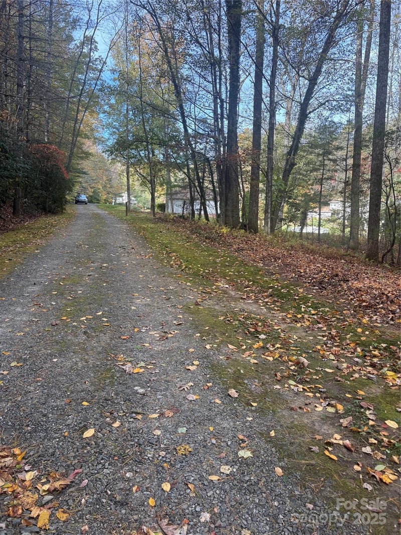 BL-A Club House Ct #BL-A, Brevard, NC 28712