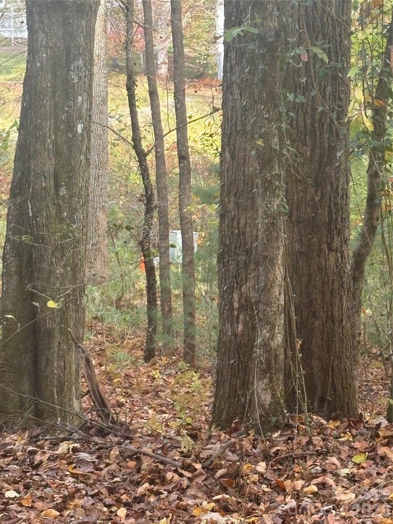 BL-A Club House Ct #BL-A, Brevard, NC 28712