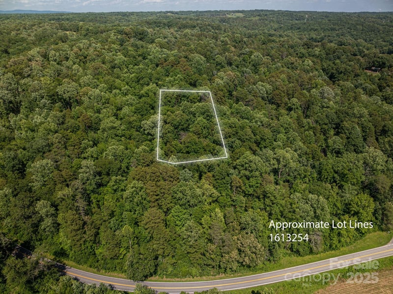 Lot 166 Plantation Dr, Rutherfordton, NC 28139