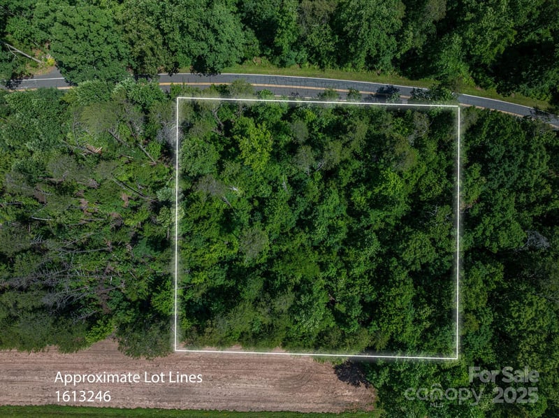 Lot 2 Cleghorn Mill Rd, Rutherfordton, NC 28139