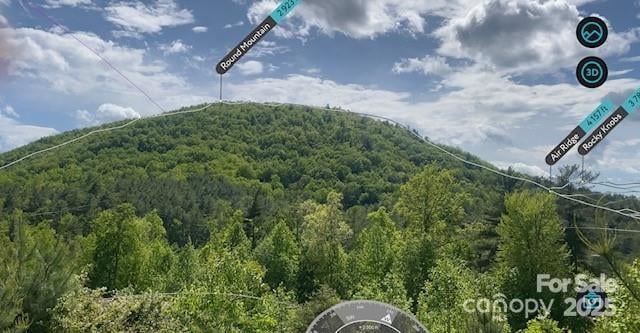 Peppervine Cir, Rosman, NC 28772