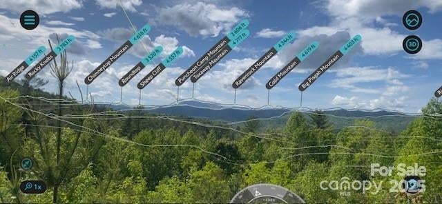 Peppervine Cir, Rosman, NC 28772