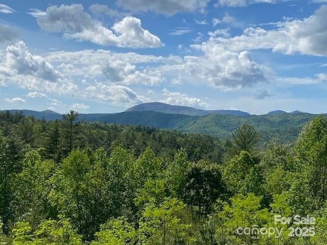 Peppervine Cir, Rosman, NC 28772