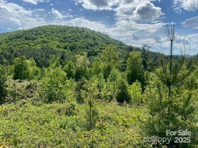 Peppervine Cir, Rosman, NC 28772