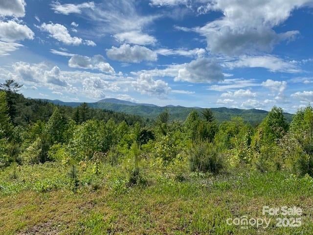 Peppervine Cir, Rosman, NC 28772