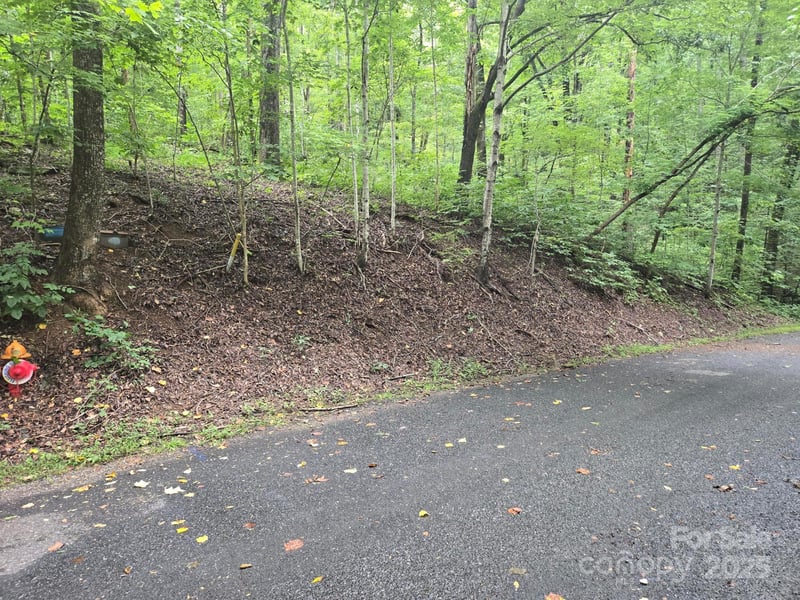 Lot 96 Chalet Rd, Lake Lure, NC 28746