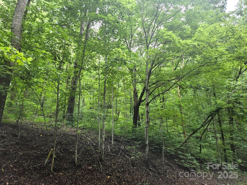 Lot 96 Chalet Rd, Lake Lure, NC 28746