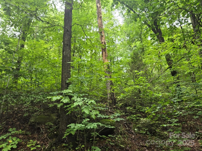 Lot 96 Chalet Rd, Lake Lure, NC 28746