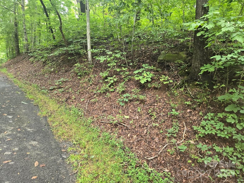 Lot 96 Chalet Rd, Lake Lure, NC 28746