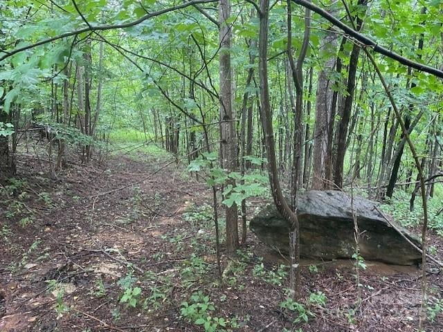 00 Cherry Hill St, Mill Spring, NC 28756