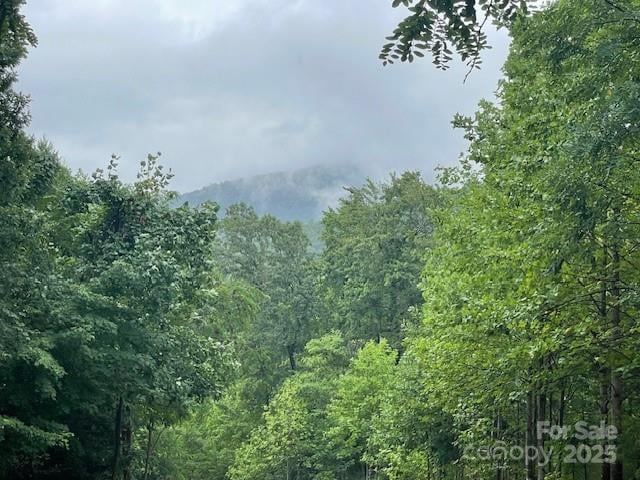 00 Cherry Hill St, Mill Spring, NC 28756