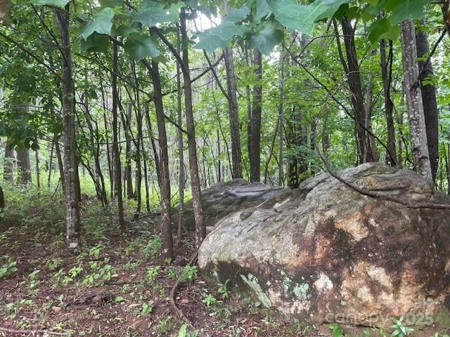 00 Cherry Hill St, Mill Spring, NC 28756