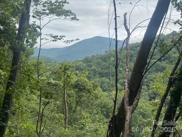 000 Satellite Mountain Rd, Burnsville, NC 28714