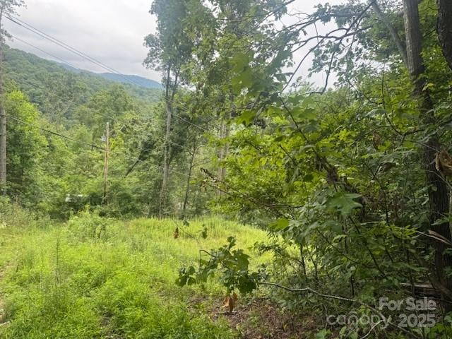 000 Satellite Mountain Rd, Burnsville, NC 28714