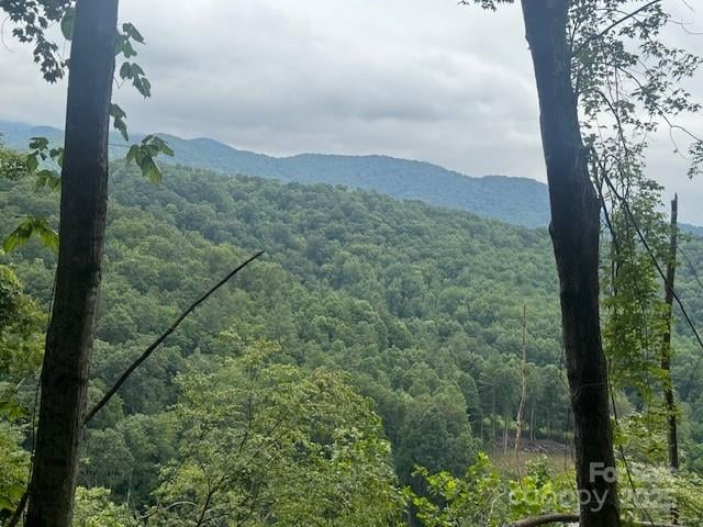 000 Satellite Mountain Rd, Burnsville, NC 28714