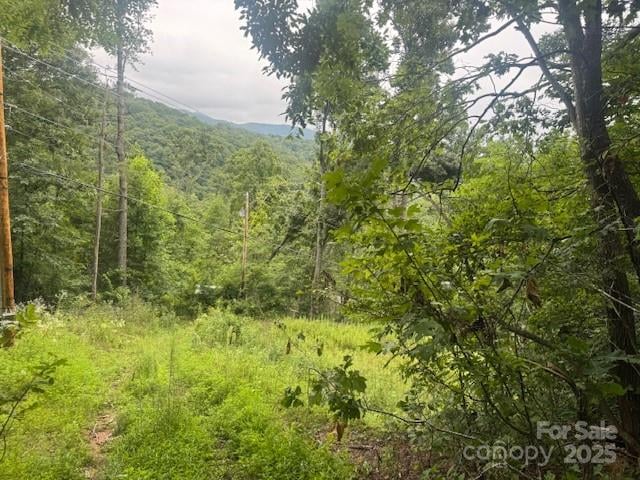 000 Satellite Mountain Rd, Burnsville, NC 28714