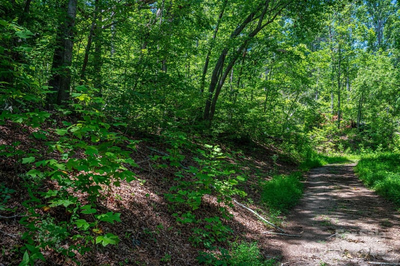 Lot 221 Plantation Dr, Rutherfordton, NC 28139