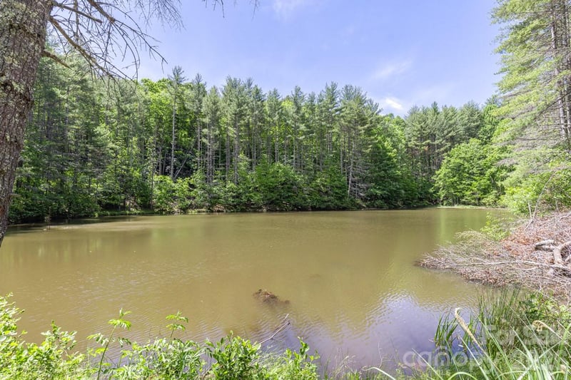 9999 River Edge Dr #2, Burnsville, NC 28714