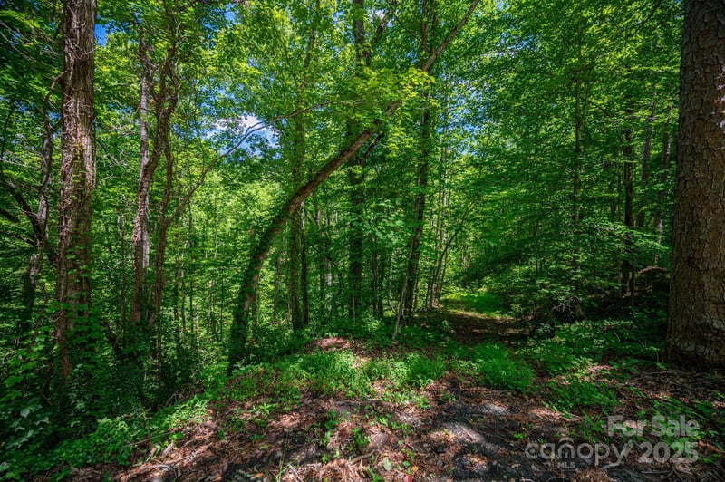 LOT 168 Plantation Dr, Rutherfordton, NC 28139