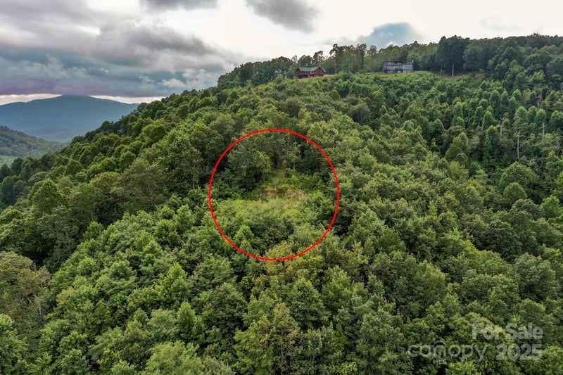 9999 High Cliffs Trl, Black Mountain, NC 28711