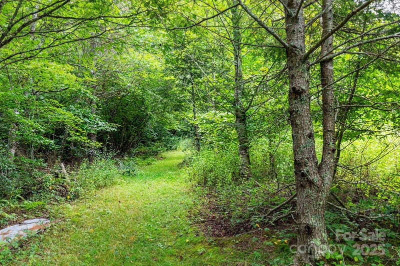 99999 Rock Creek Rd, Burnsville, NC 28714