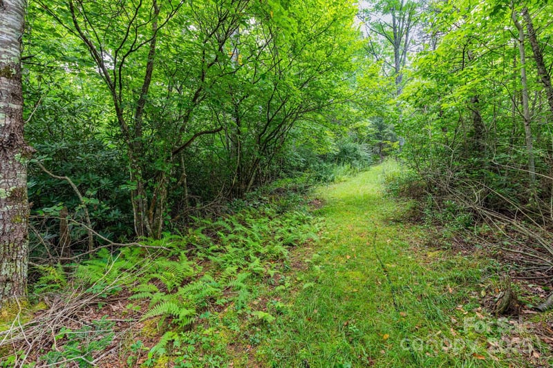 99999 Rock Creek Rd, Burnsville, NC 28714