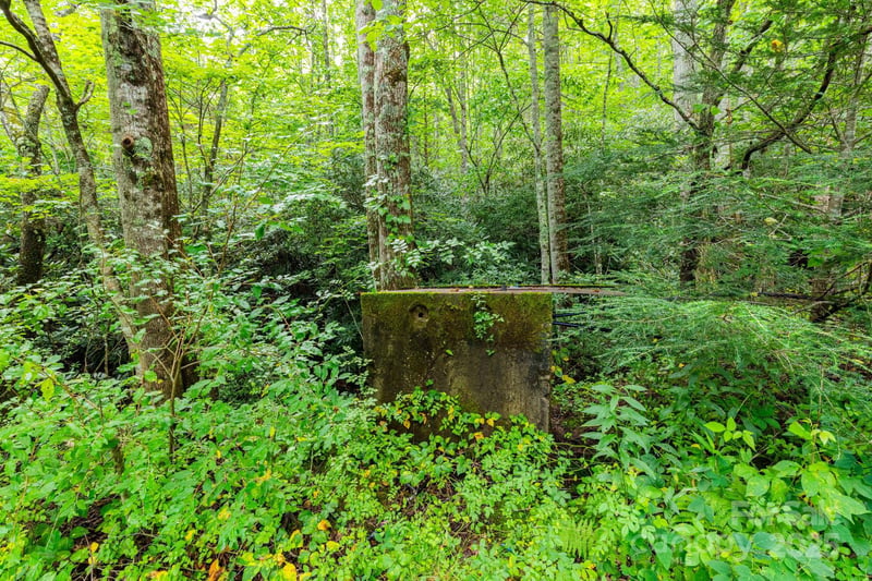 99999 Rock Creek Rd, Burnsville, NC 28714