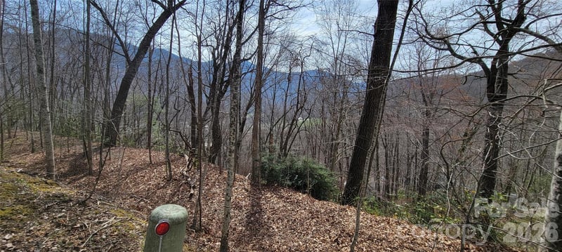 99999 Maplewood Dr, Maggie Valley, NC 28751