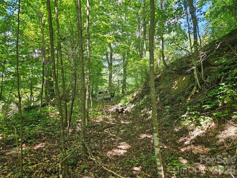 99999 Maplewood Dr, Maggie Valley, NC 28751