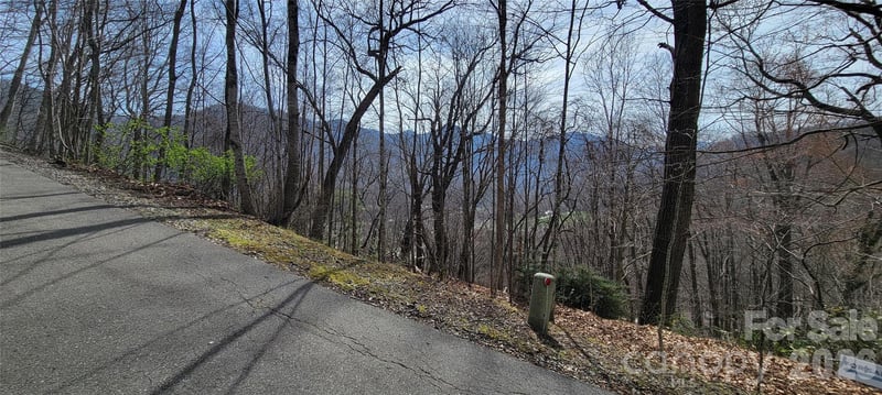 99999 Maplewood Dr, Maggie Valley, NC 28751