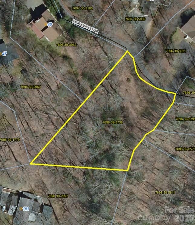 99999 Maplewood Dr, Maggie Valley, NC 28751