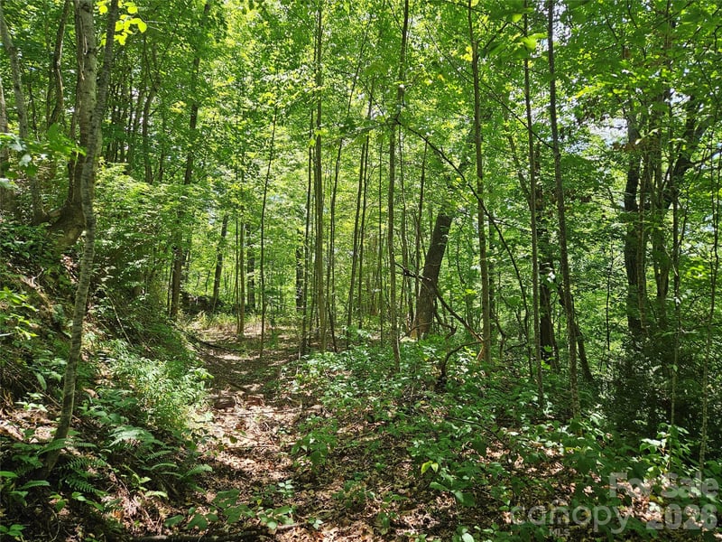99999 Maplewood Dr, Maggie Valley, NC 28751