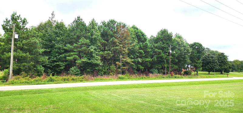 510 Van Lingle Mungo Blvd, Pageland, SC 29728