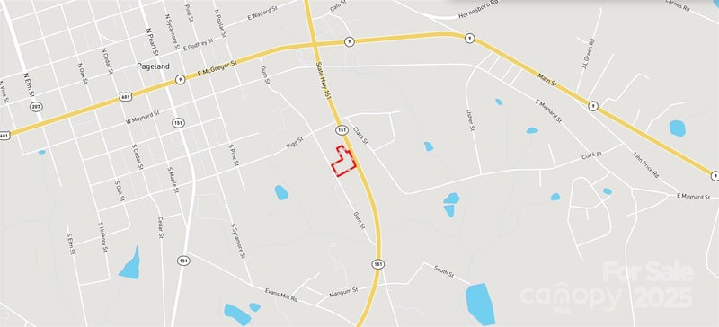 510 Van Lingle Mungo Blvd, Pageland, SC 29728