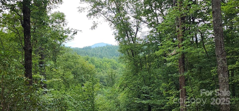 LOT 3 Cross Creek Trl, Mill Spring, NC 28756