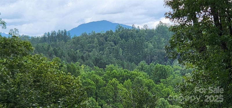 LOT 3 Cross Creek Trl, Mill Spring, NC 28756