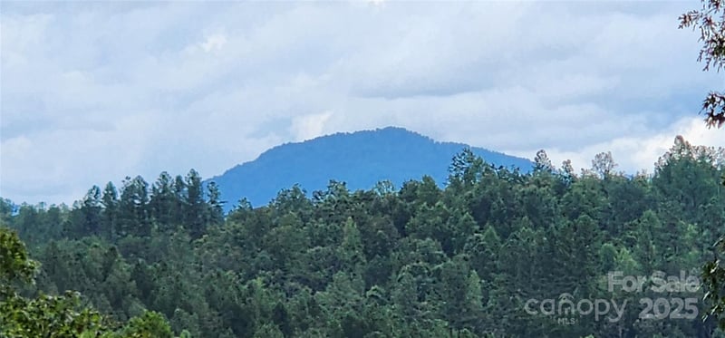 LOT 3 Cross Creek Trl, Mill Spring, NC 28756