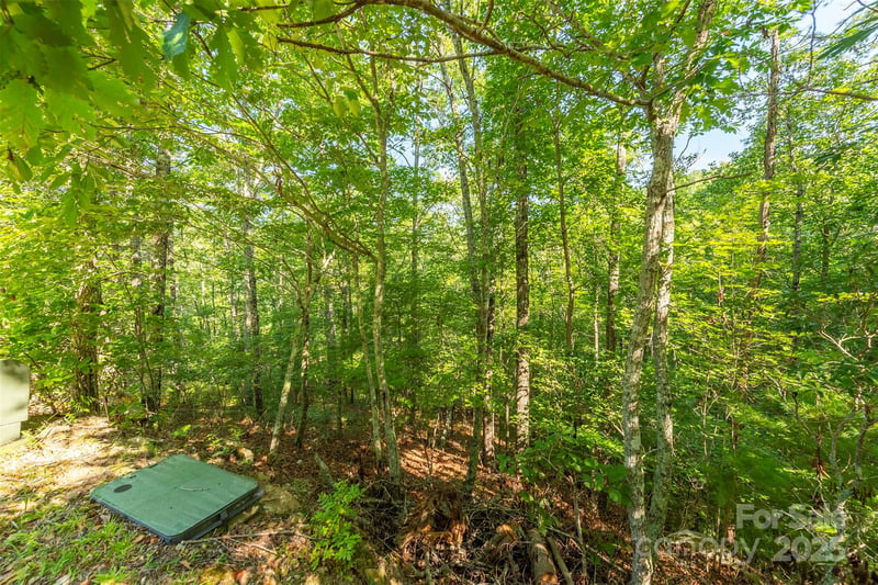 230 White Rapid Rd, Marshall, NC 28753