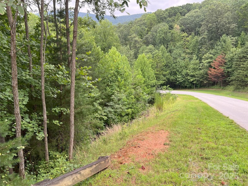 00 Deep Gap Rd #97, Mill Spring, NC 28756