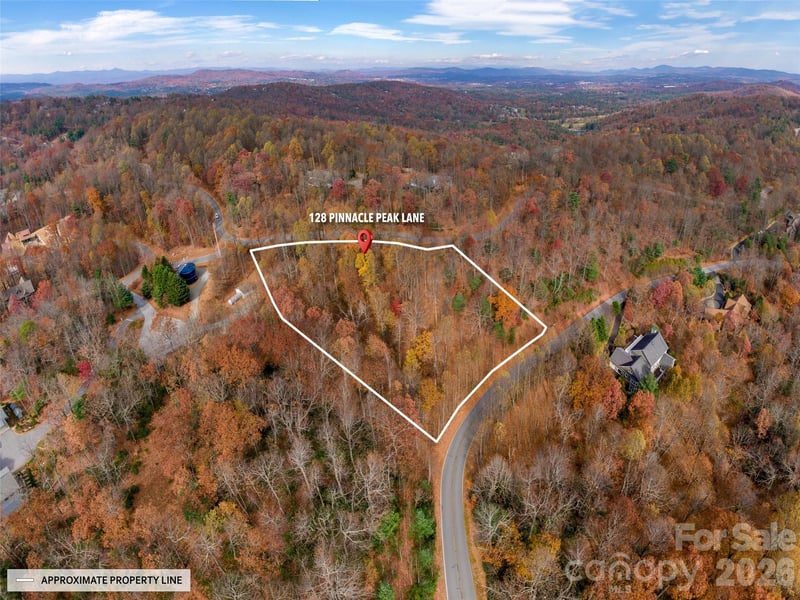 128 Pinnacle Peak Ln, Flat Rock, NC 28731